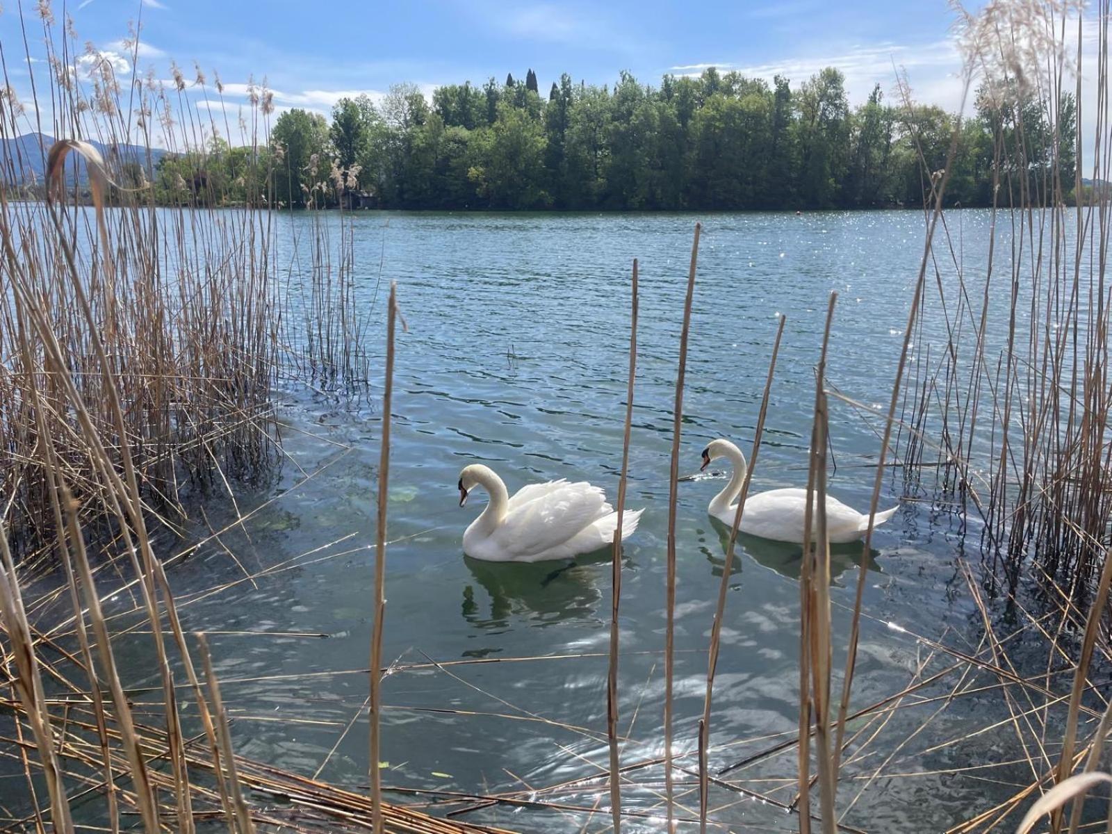 Wellness Da Sogno Sul *