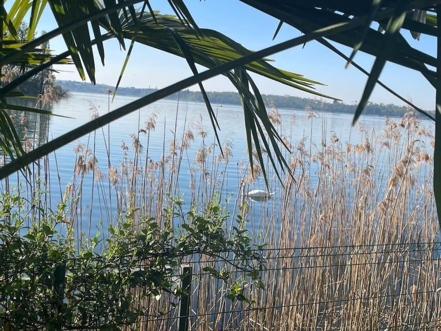 Villa Wellness Da Sogno Sul Pusiano